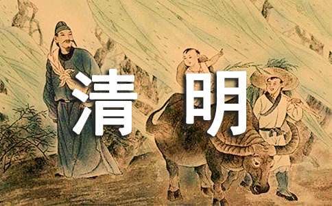 绳梯训练篮球_0